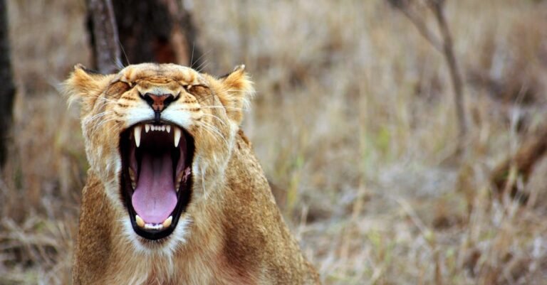 Simple Steps To Help You Get A Bright Smile