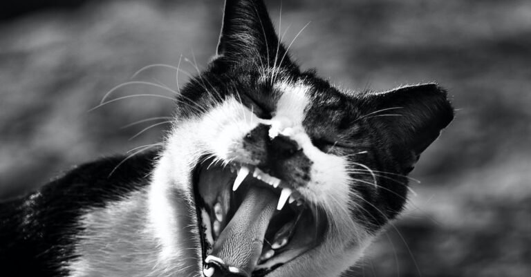 Get A Dazzling, White Smile With These Easy Tips