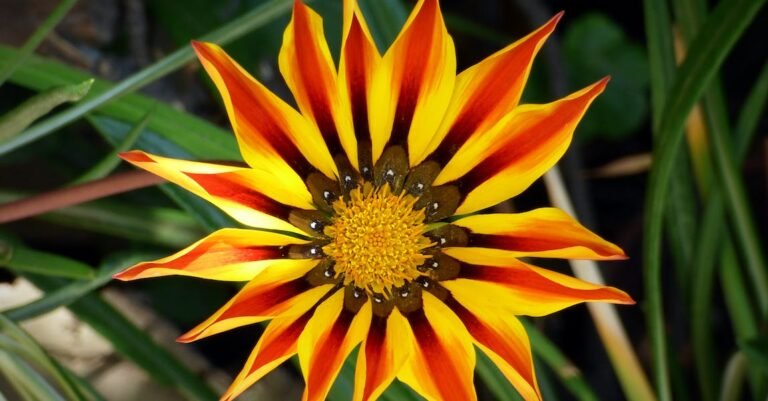 Everyday Beauty Tips For Busy Women