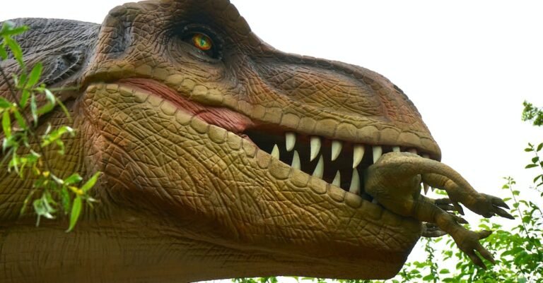 Tips That Can Help You Whiten Your Teeth