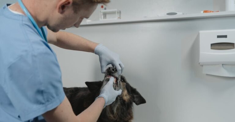 Take A Look At These Teeth Whitening Tips