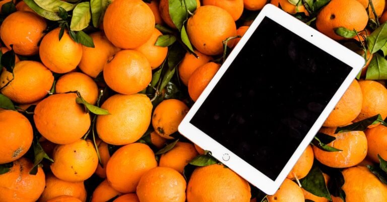 Learn The Secrets To Better Juicing By Following These Tips